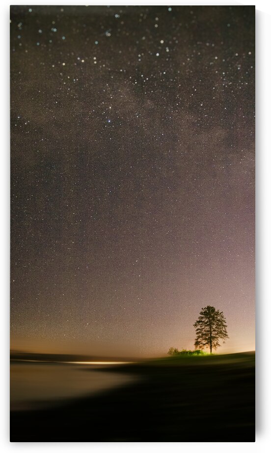 Solitary Sentinel by Kelly Corder