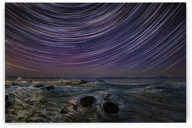 Knotty Night by Kelly Corder