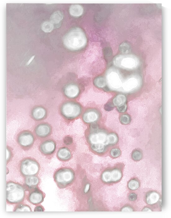 Abstract Soft Circular Shapes by Catriona Roberts Nature Photography and Designs