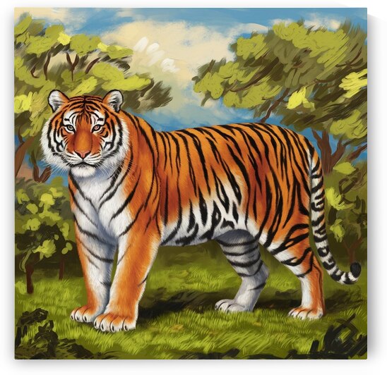 Tiger by Kawtar el harda