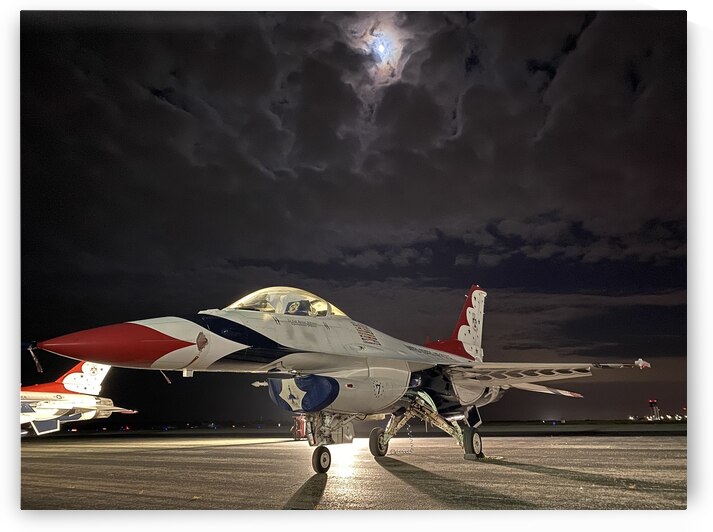 Moonlit Thunderbird by George Speake