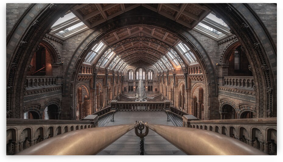 Natural History Museum London | Grand Interior Architecture Photography by Dutch Photographer