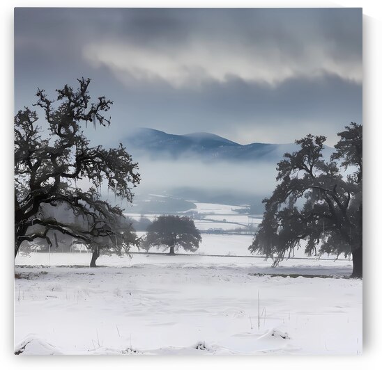 a photo of snowy plains with mountains on the horizon by rassam