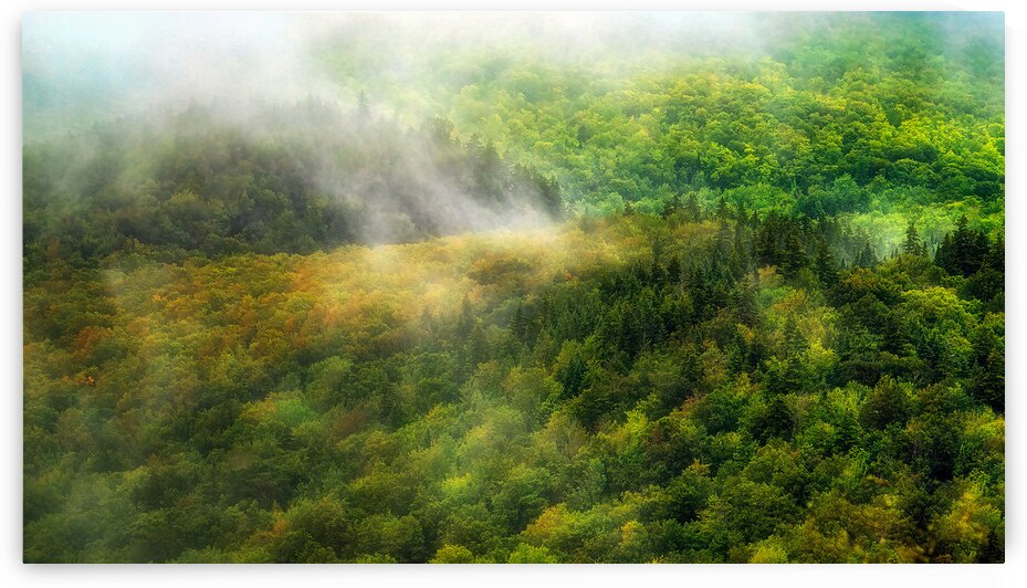 La vallee by ARTEFIA