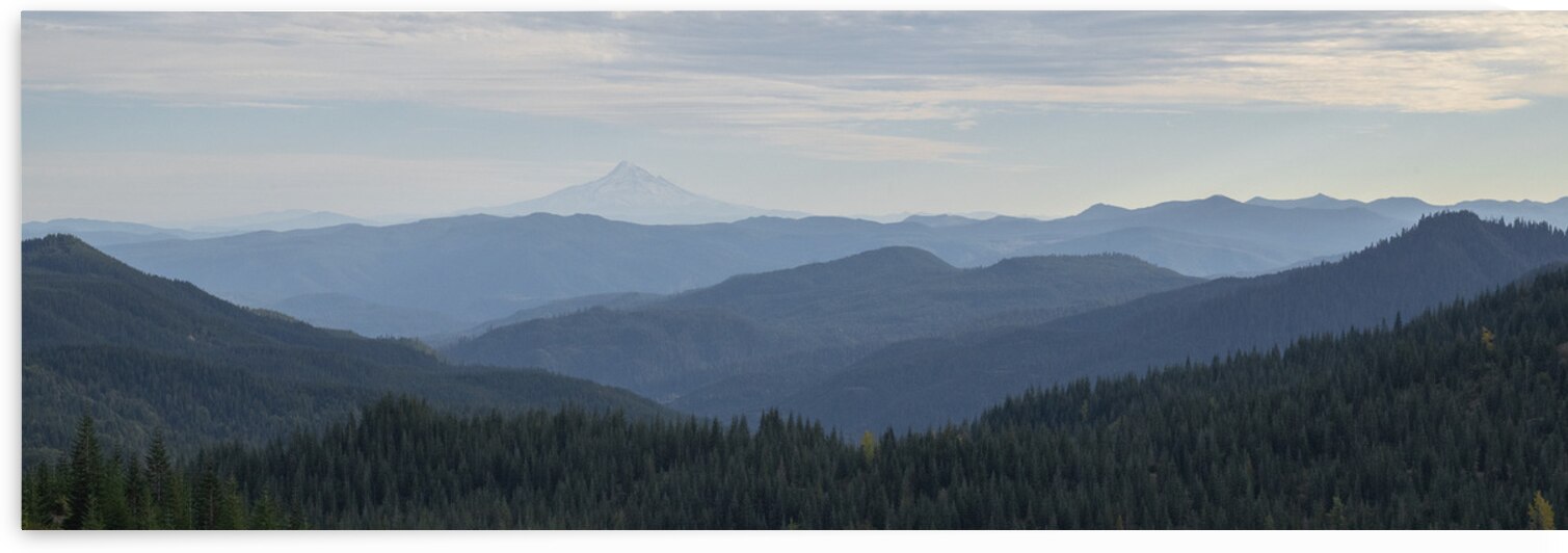 gcwwDAV 4324 by David Northall