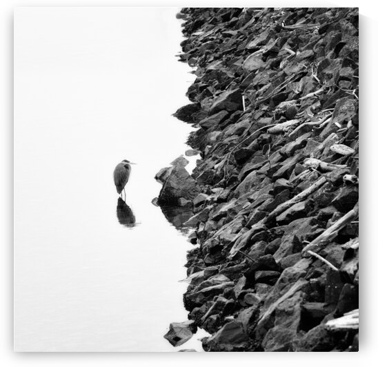 Stonewalled by Kelly Corder