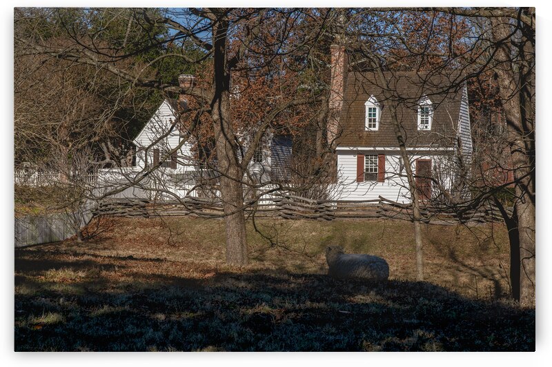 Williamsburg Small Farm Landscape by Norma Brandsberg Photography