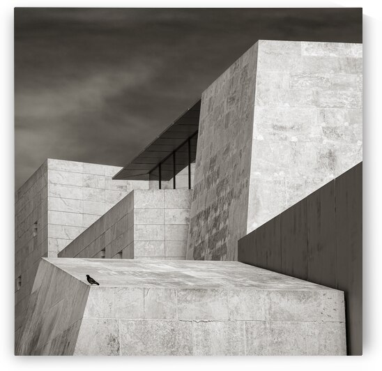 Parliament of Malta by Dave Bowman