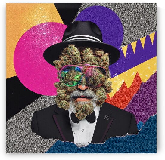 Cannaman Pop Art by Art by Josh