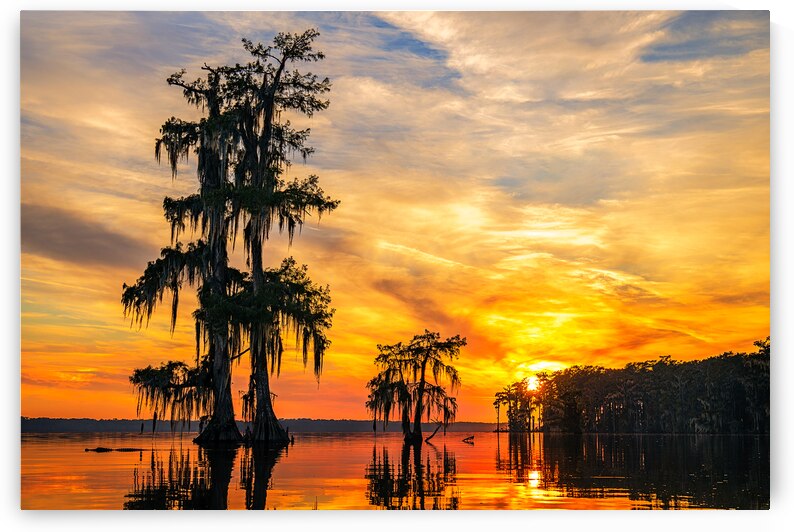 Fire Over Attakapas by Andy Crawford