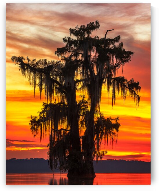 Last Light Over Lake Verret by Andy Crawford