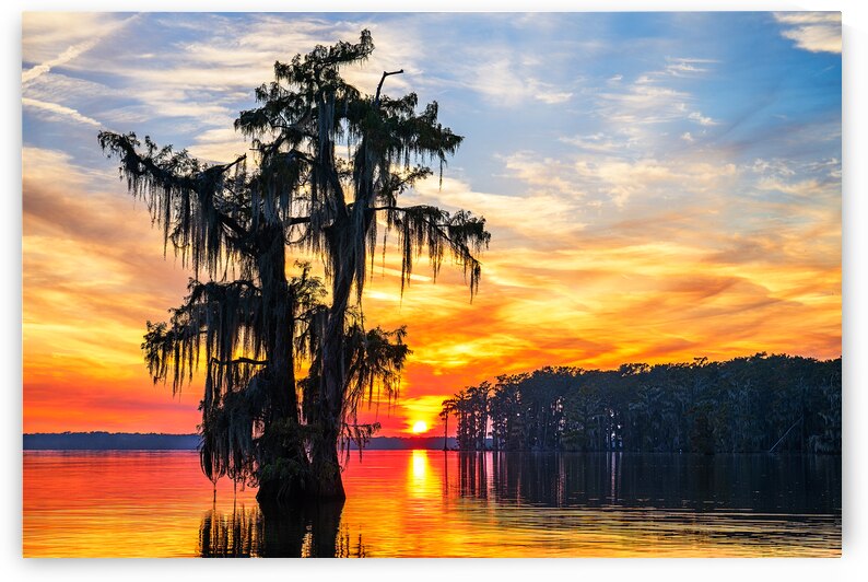 Sunset View by Andy Crawford