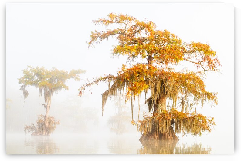 First Blush of Fall at Lake Dauterive by Andy Crawford