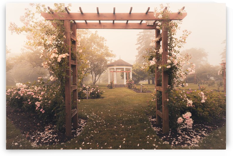 Allentown Rose Gardens Arbor in the Mist by Jason Fink