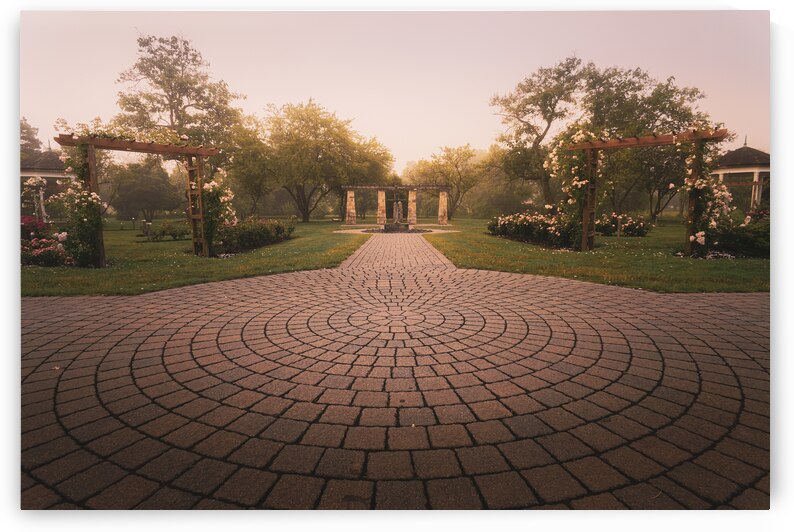 Allentown Rose Gardens Central View by Jason Fink