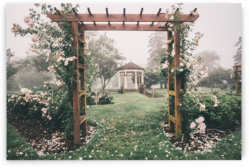 Allentown Rose Gardens Arbor and Flowers by Jason Fink