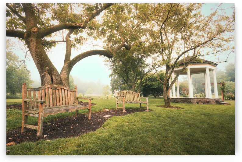 Have a Seat at the Allentown Rose Gardens by Jason Fink