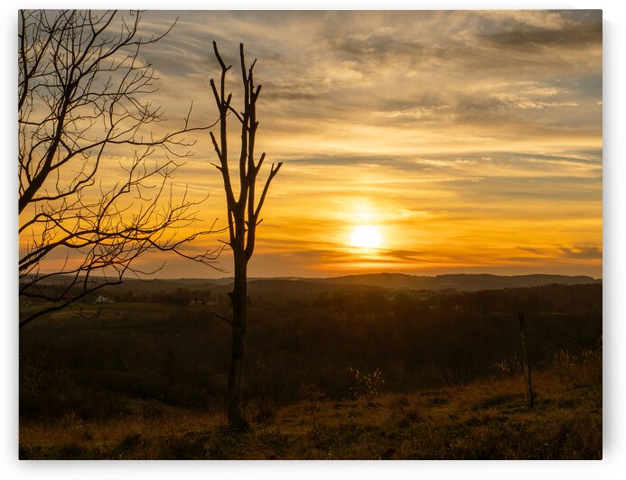 Colder Days Ahead Trexler Nature Preserve by Jason Fink