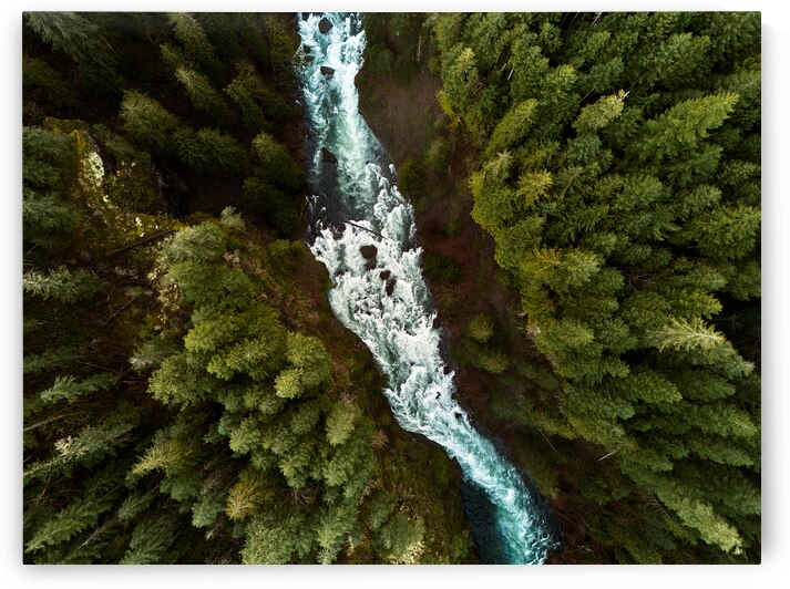 On the way to the fall by Kelly Corder
