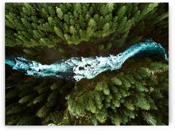 On the way to the Falls by Kelly Corder