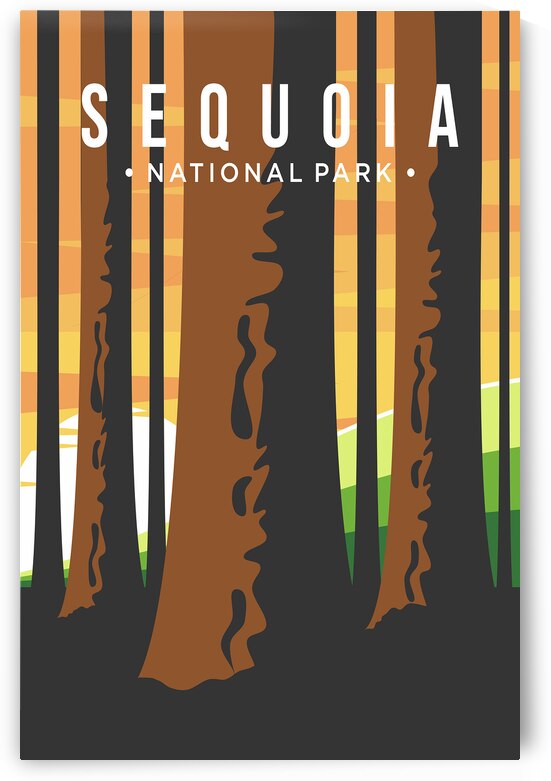 Sequoia National Park by Conceptual Photography