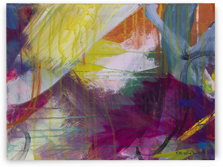 Bliss by Christine VanDyk