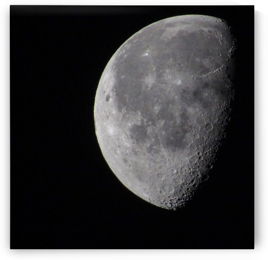 Curse the Sun Howl at the Moon by After The Shutter Photography