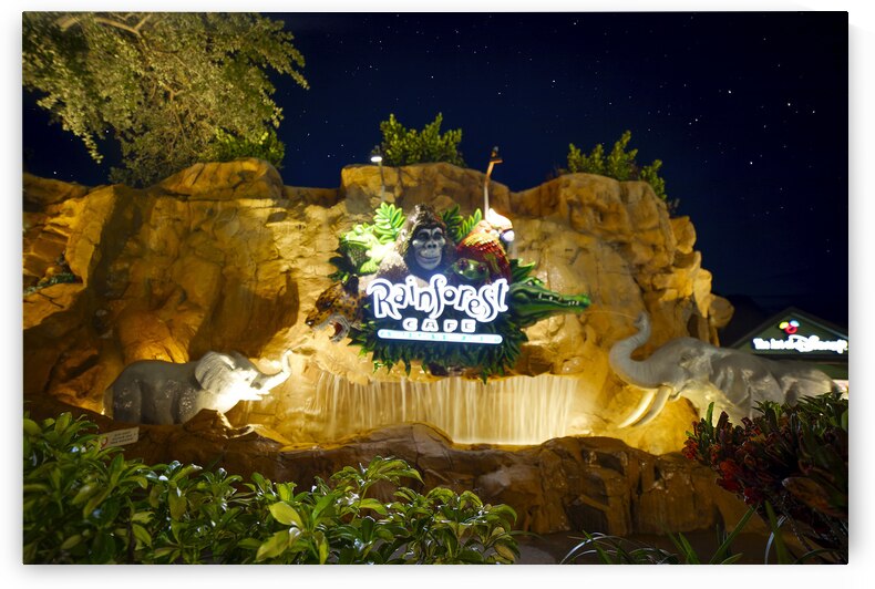 The Rainforest Cafe At Disney Springs by Visual Voyages Fine Art