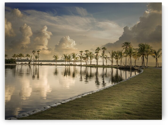 Palm Serenade at Sunrise by Exist2shoot Photography