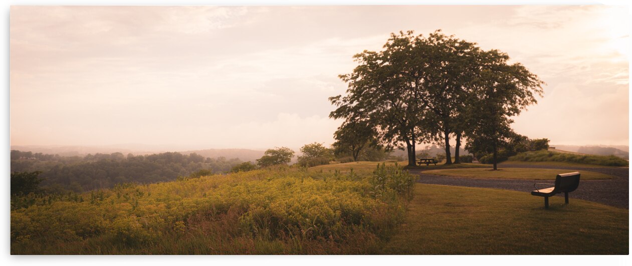A Bench with a View by Jason Fink