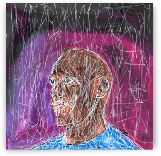 The Webs We Weave by Robert Burton