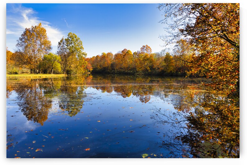 Erwin Tennessee Moments   Pat Brown Geese Pond 3 – Peaceful Lake by Shelia Hunt Photography
