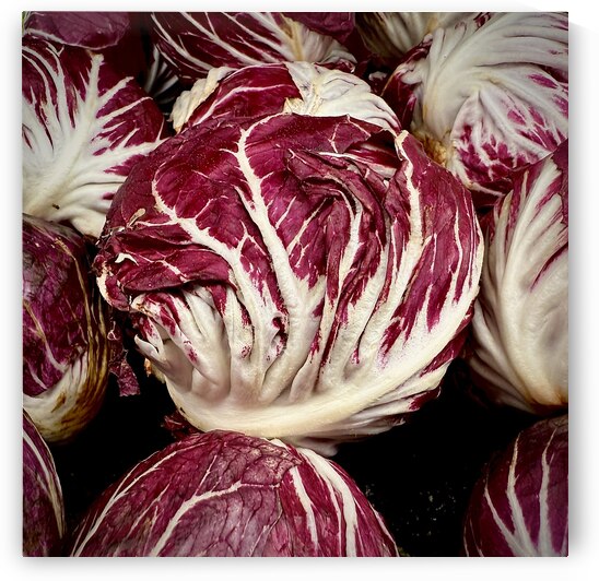 Radicchio Italian Chicory by Bill Swartwout Photography