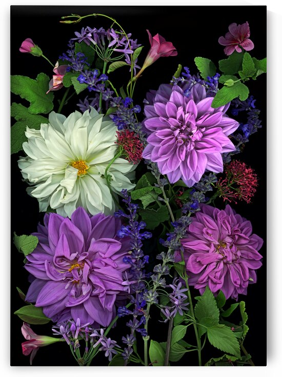 Four Dahlias Spring Bouquet                                                                                                                                                                                                                           by Jane Baron