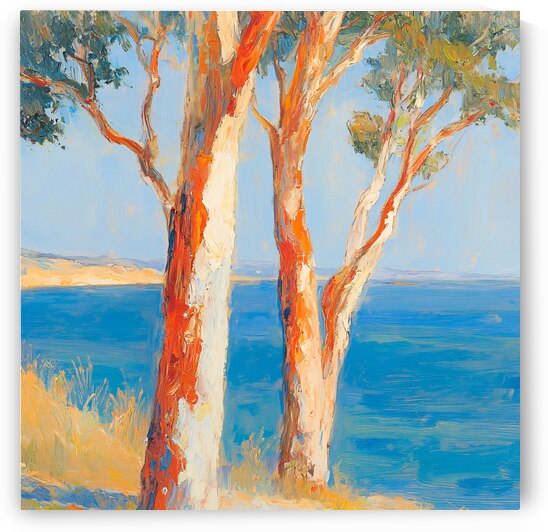 Coastal Gum Trees by Travelling Light