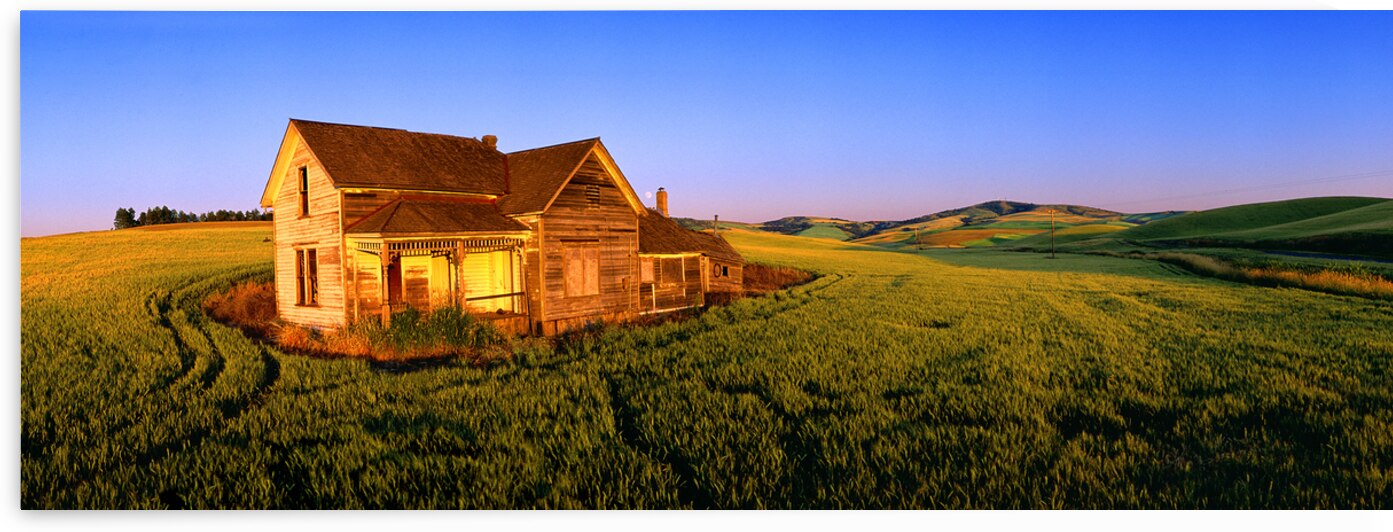 Abandoned Beauty by John Shephard