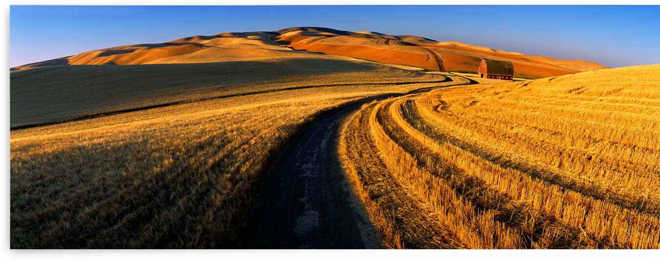 Harvest Road by John Shephard