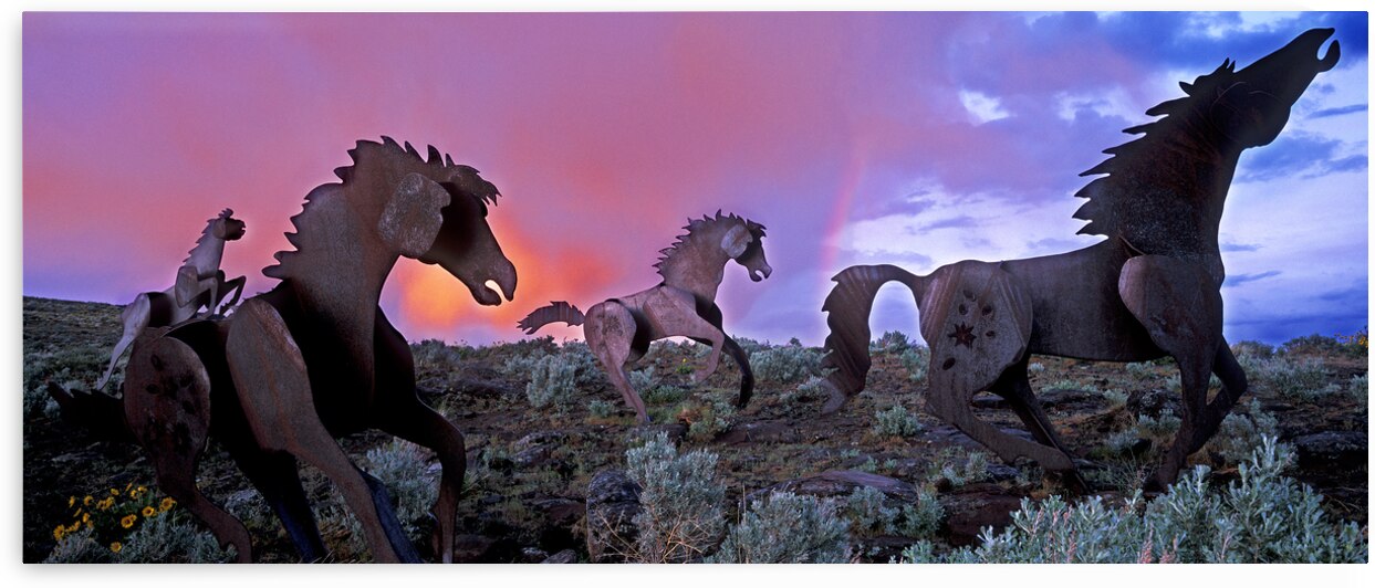 Wild Iron by John Shephard