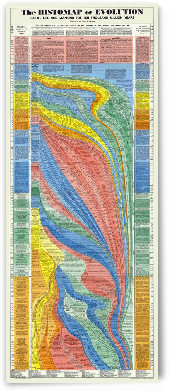 Histomap of Evolution – Visual Timeline Charting 4 Billion Years of Life on Earth from Single-Celled Organisms to Modern Biodiversity by History In Your Home