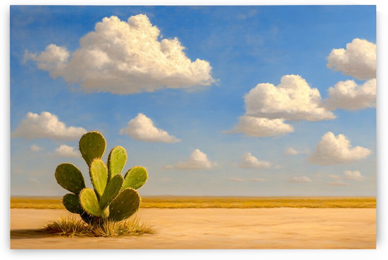 Bunny Ear Cactus at Home in the Desert by Travelling Light