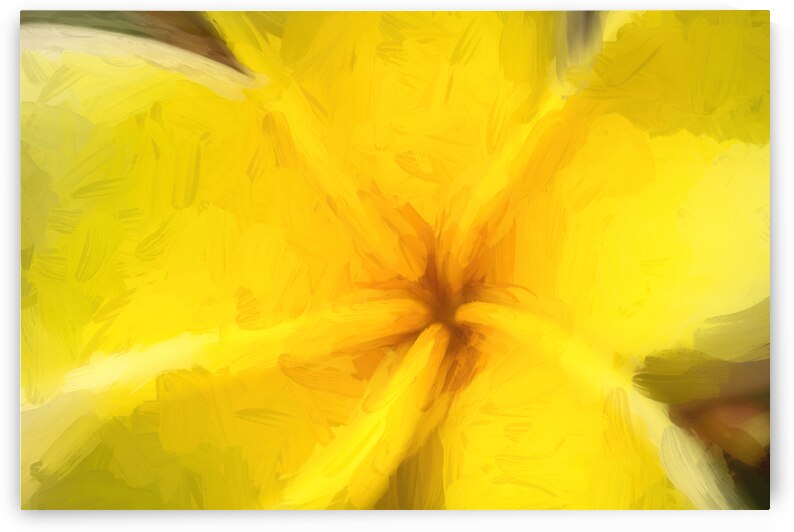 Yellow Plumeria Princess X101 by Rich Franco