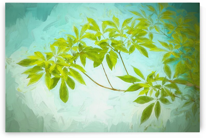 Tabebuia Green Leaves over Water X100 by Rich Franco