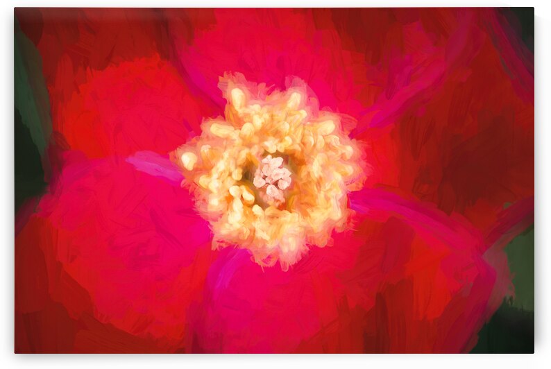 Knockout Roses Macro X101 by Rich Franco