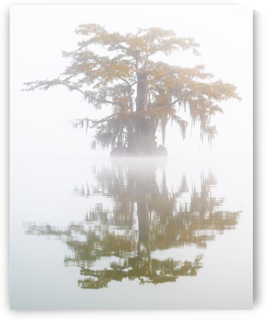 Lost in the Mists of Time by Andy Crawford
