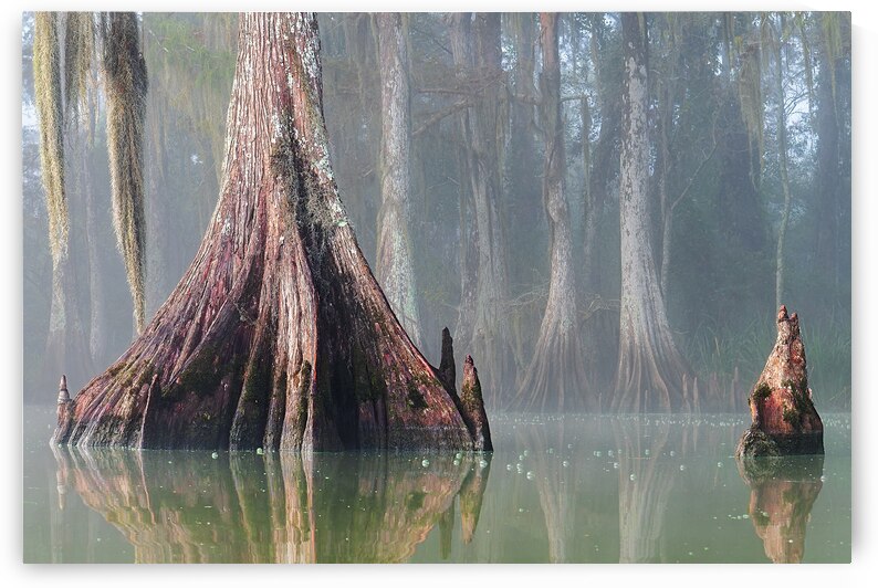 Standing Apart by Andy Crawford