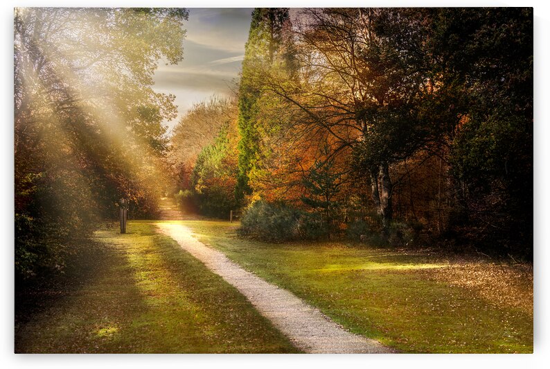 Brandon UK path by RawBeltPhotos