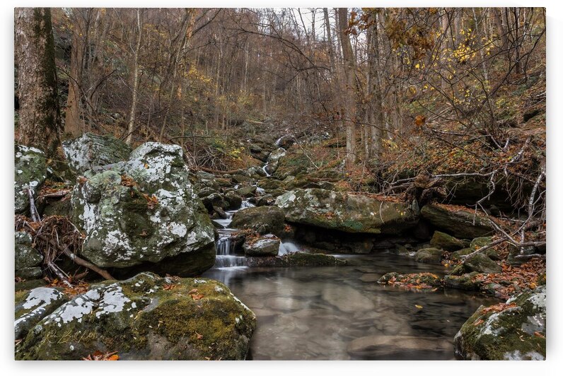 Shenandoah 2 by RawBeltPhotos