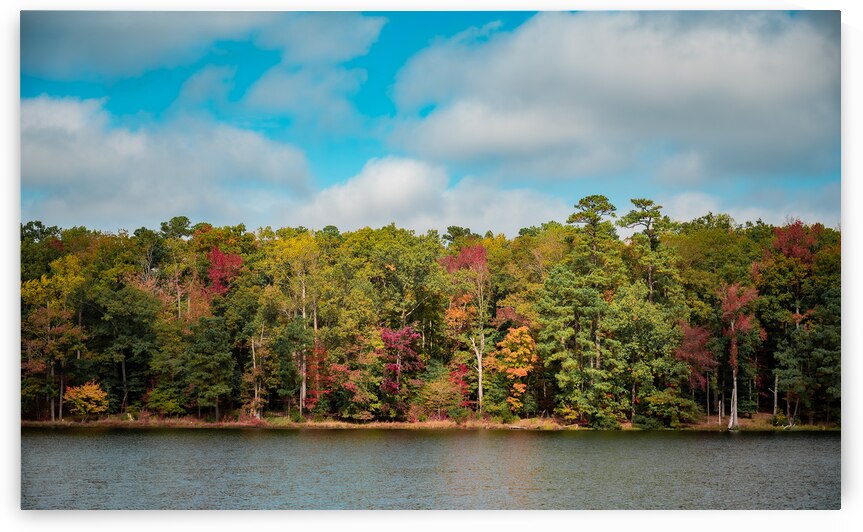 Newport News Park 108 by RawBeltPhotos