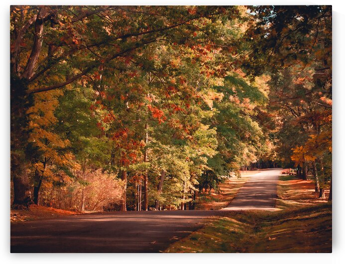 Newport News Park 118 by RawBeltPhotos