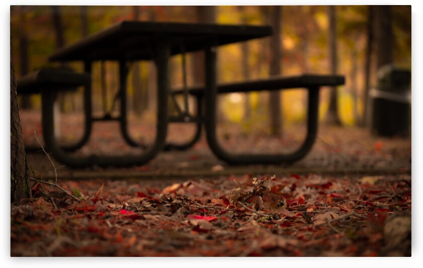 Newport News Park 111 by RawBeltPhotos